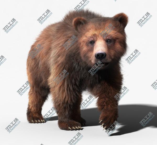 images/goods_img/20210312/Brown Bear(2)(FUR)(ANIMATED)/1.jpg